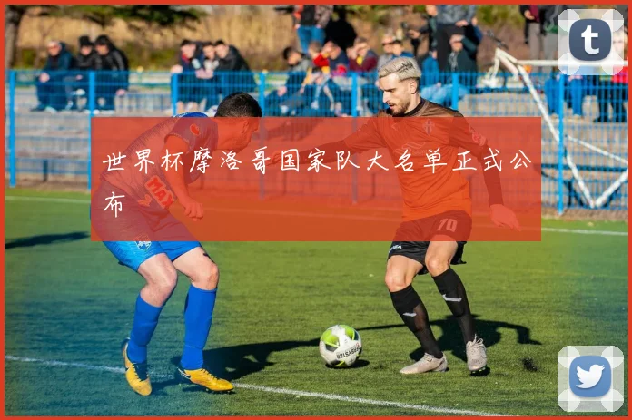 世界杯摩洛哥国家队大名单正式公布